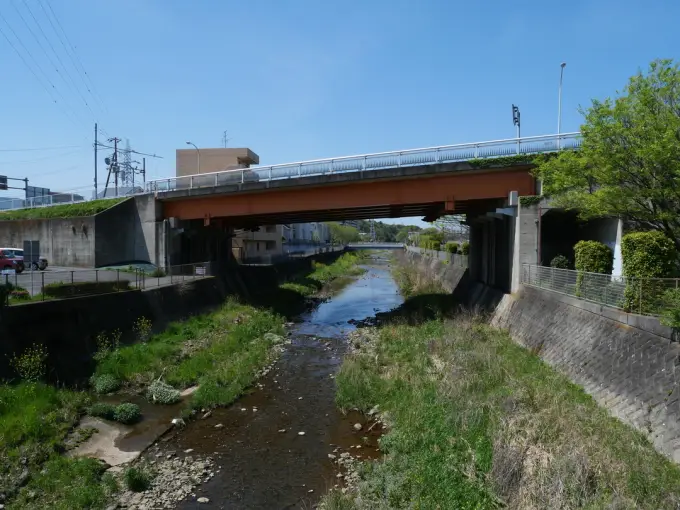 写真No.3