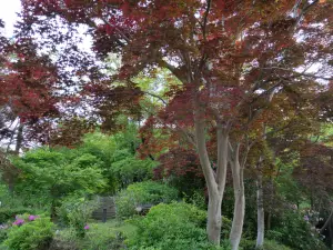 写真No.12