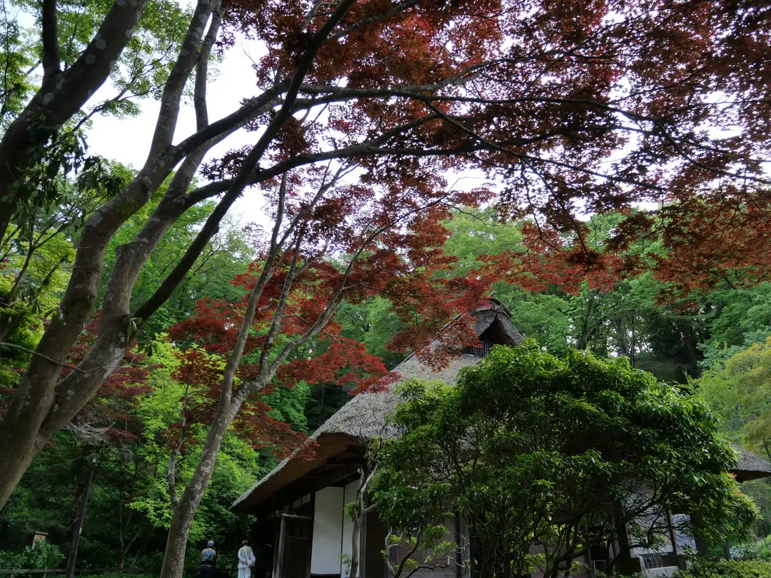 写真No.3