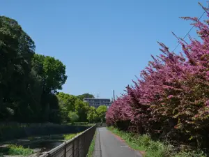写真No.2