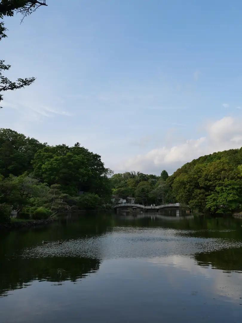 写真No.13