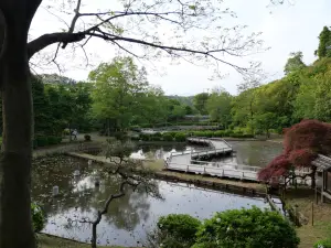 写真No.21