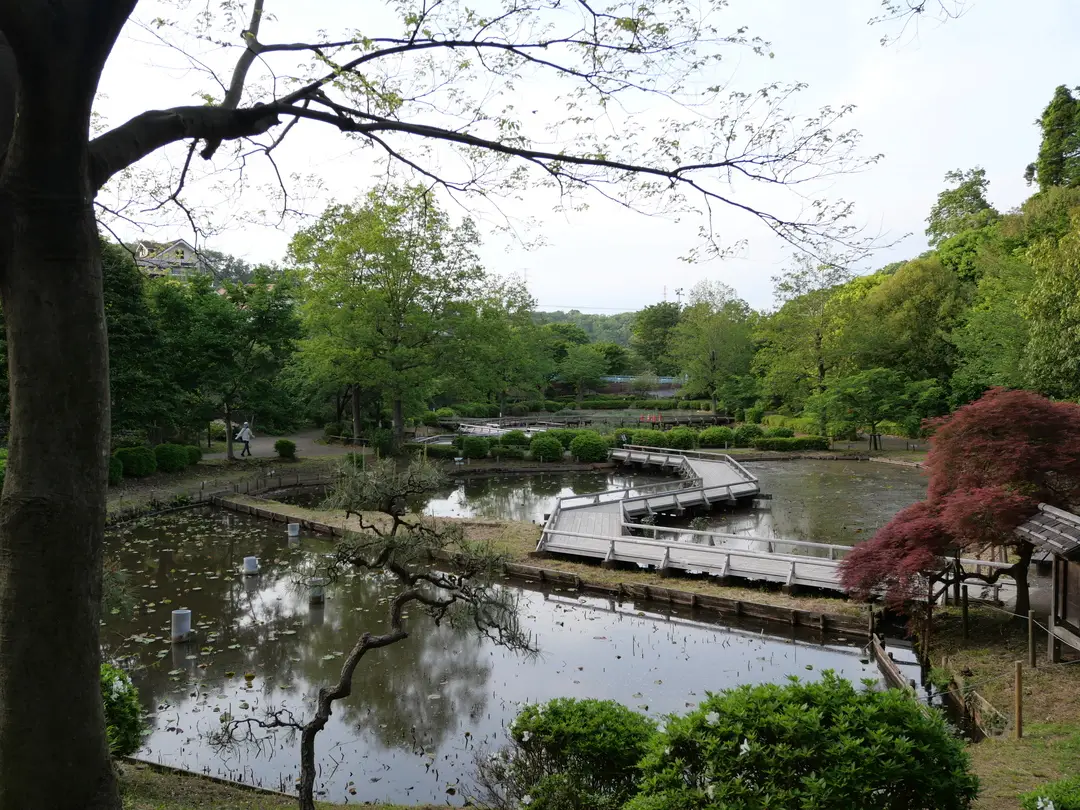写真No.21