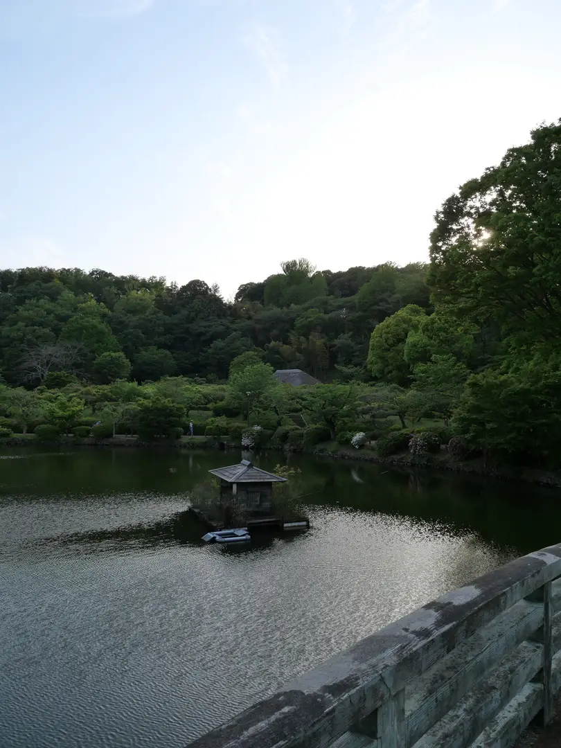 写真No.6