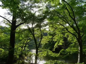 写真No.10