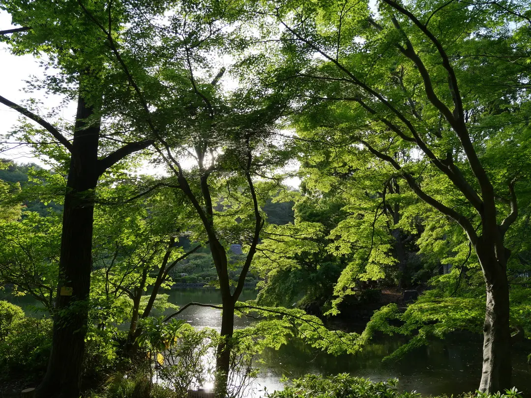 写真No.10