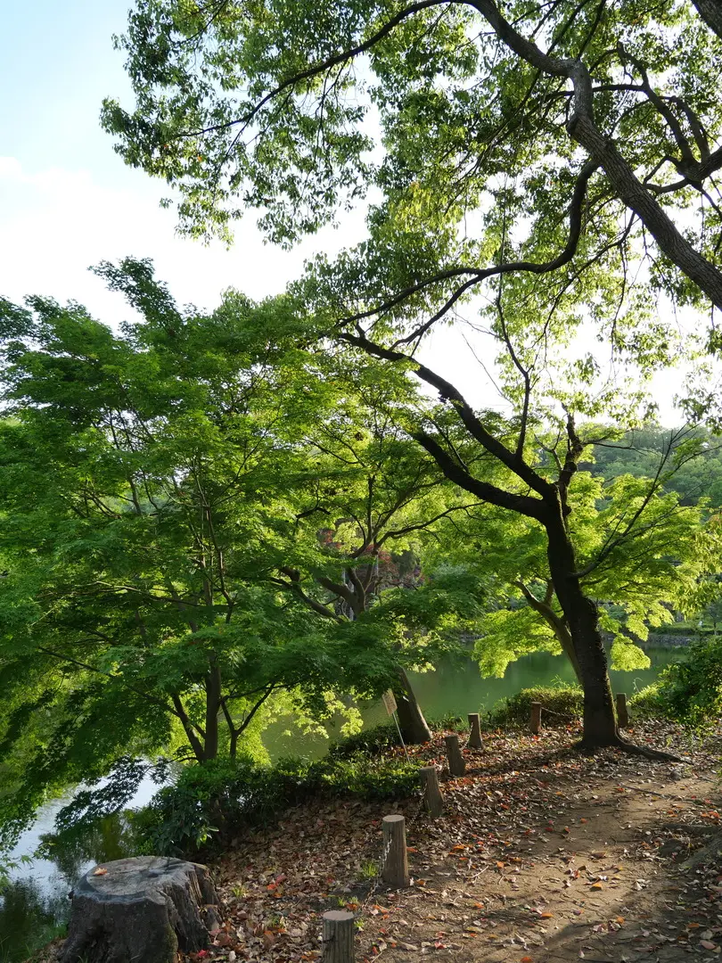 写真No.7