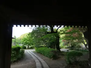 写真No.17