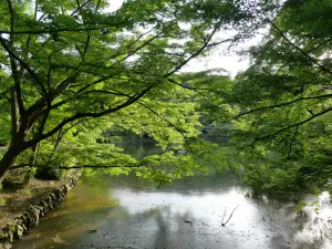 写真No.9