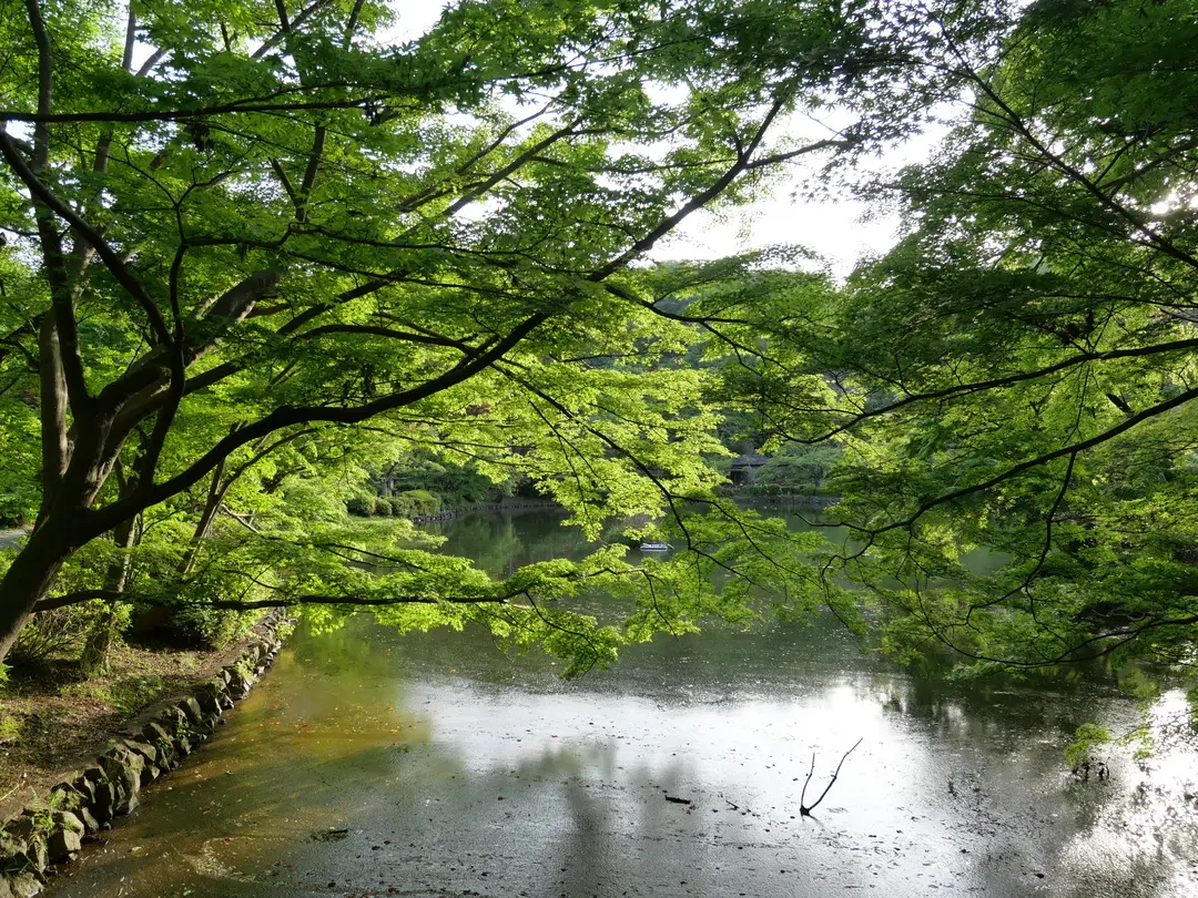写真No.9