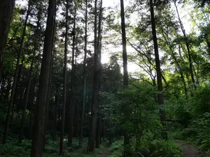 写真No.11