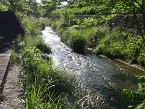 写真No.7