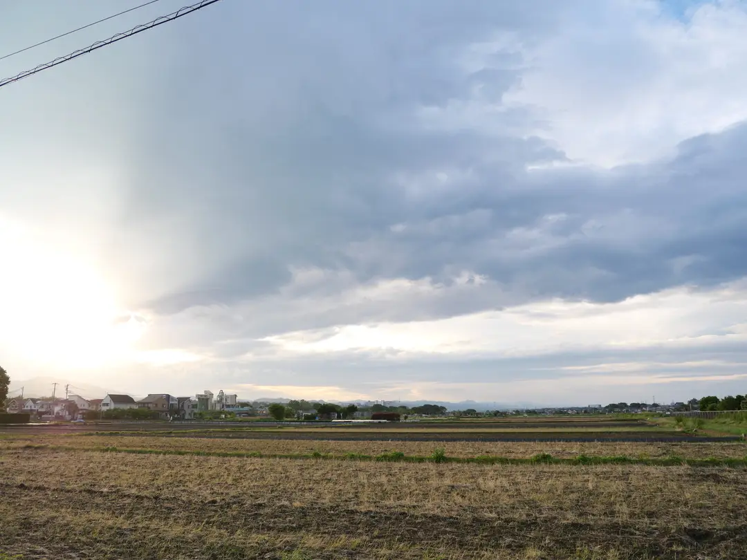 写真No.7