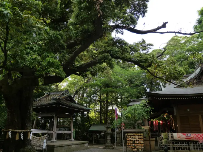 写真No.1