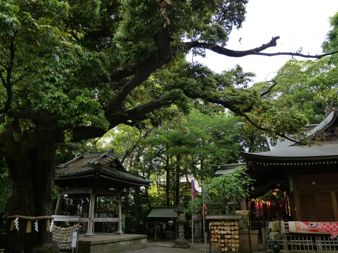 写真No.1