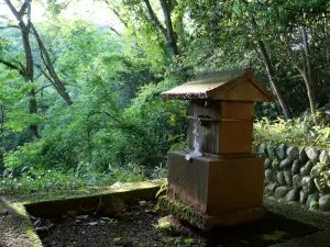 写真No.13