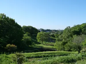 写真No.12