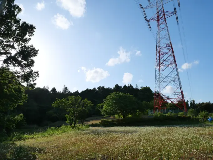 写真No.2