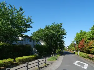 写真No.4