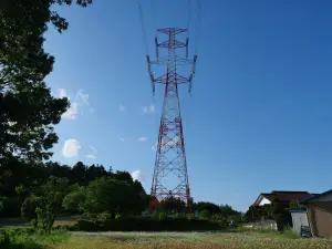 写真No.1