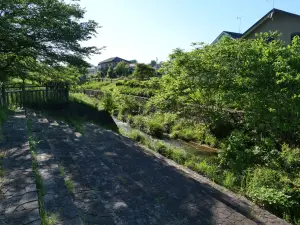 写真No.6