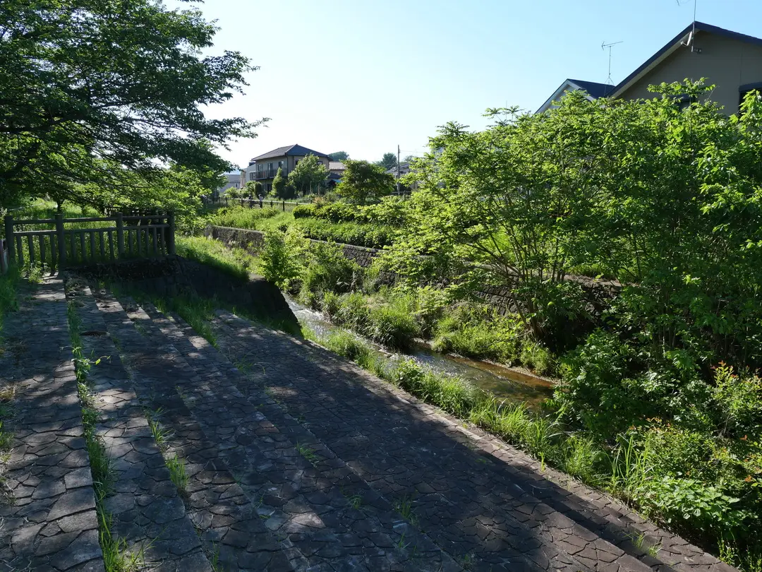 写真No.6