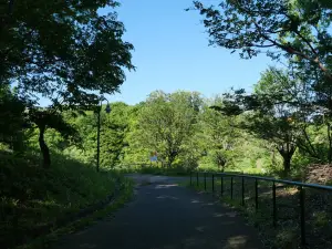 写真No.11