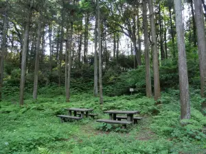 写真No.14