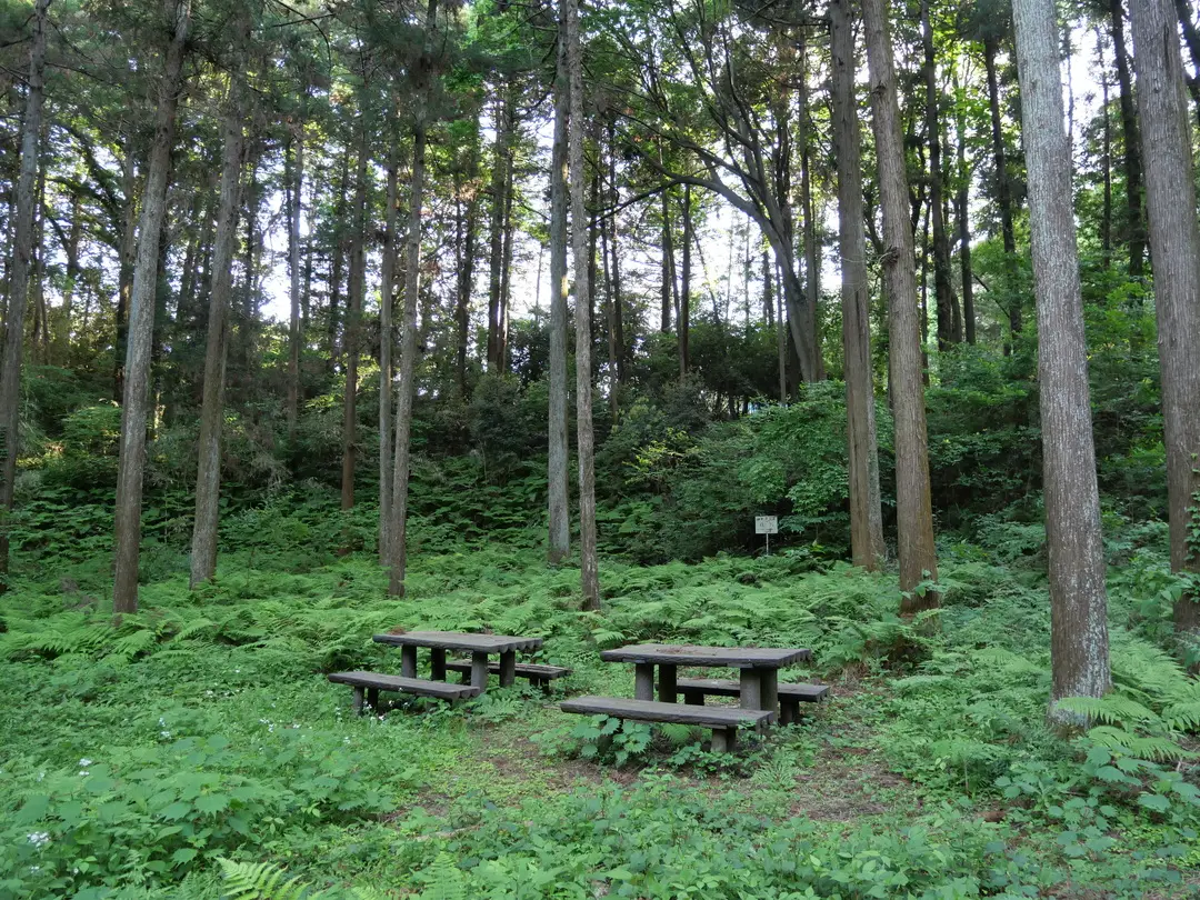 写真No.14