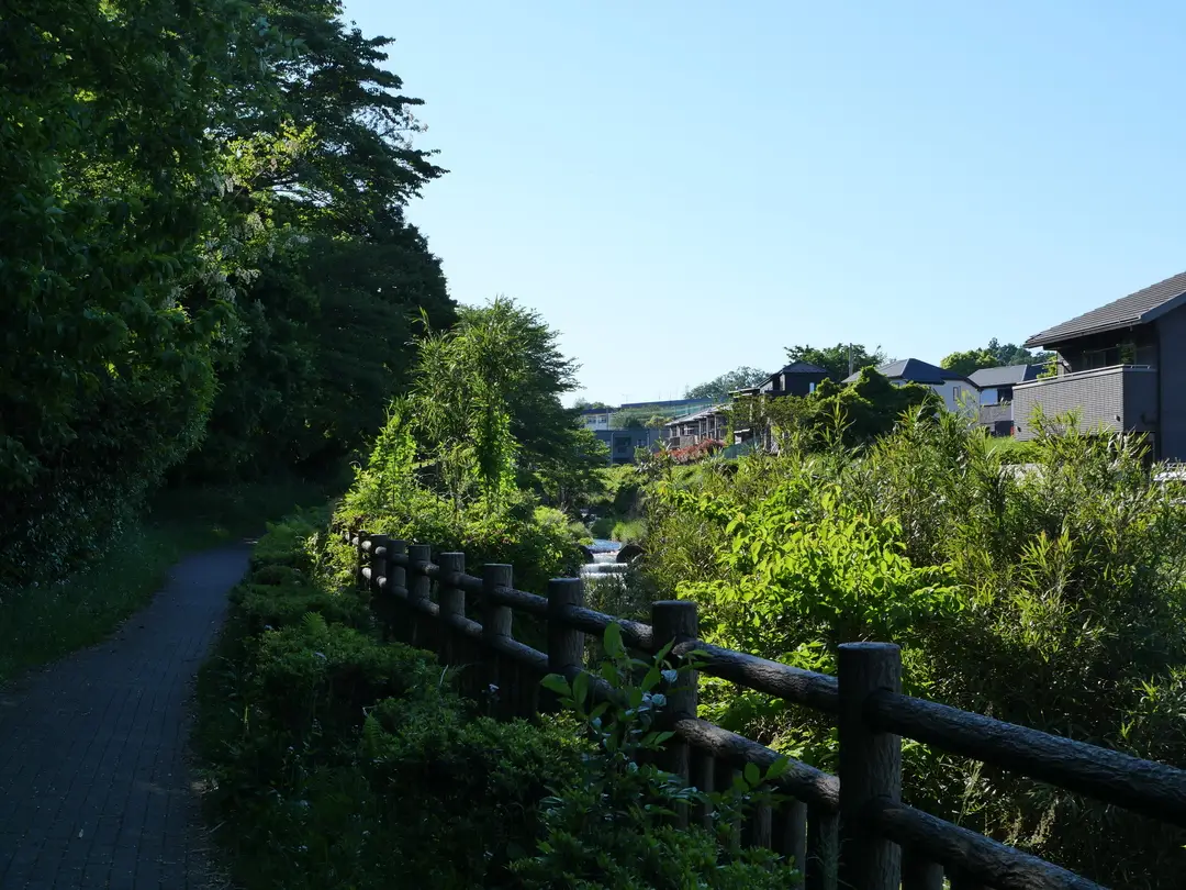 写真No.5