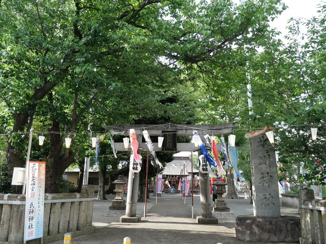 写真No.1