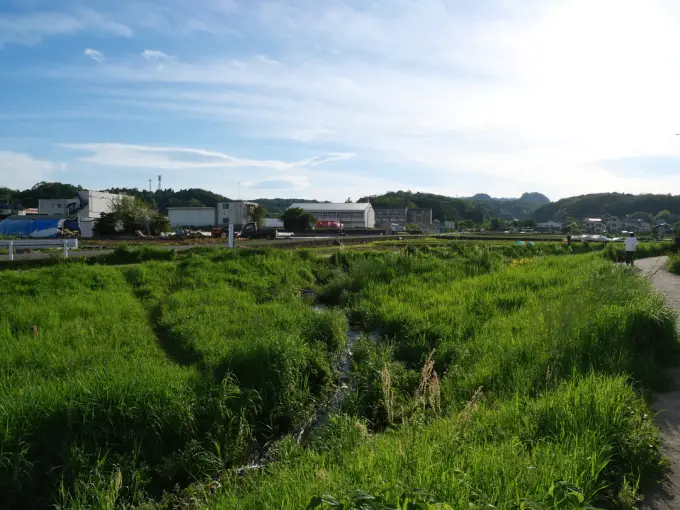 写真No.1