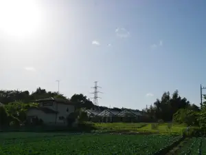 写真No.5