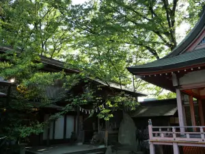 写真No.9