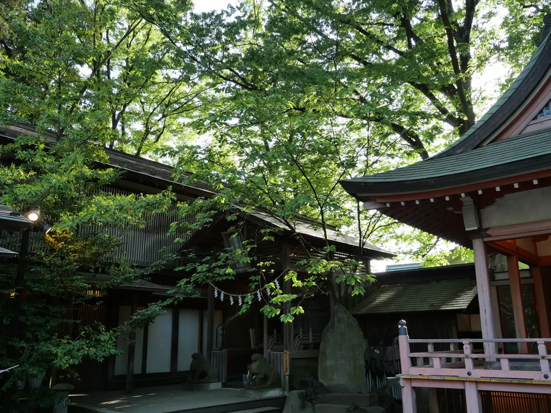 写真No.9