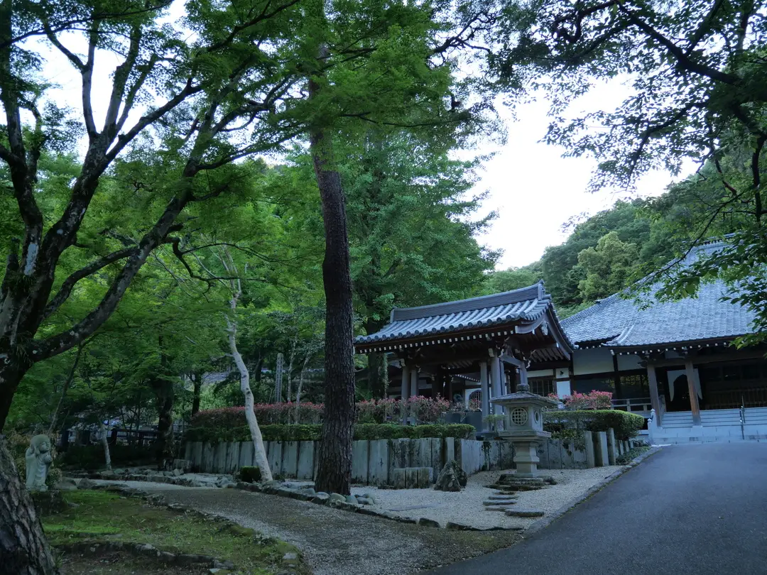 写真No.3