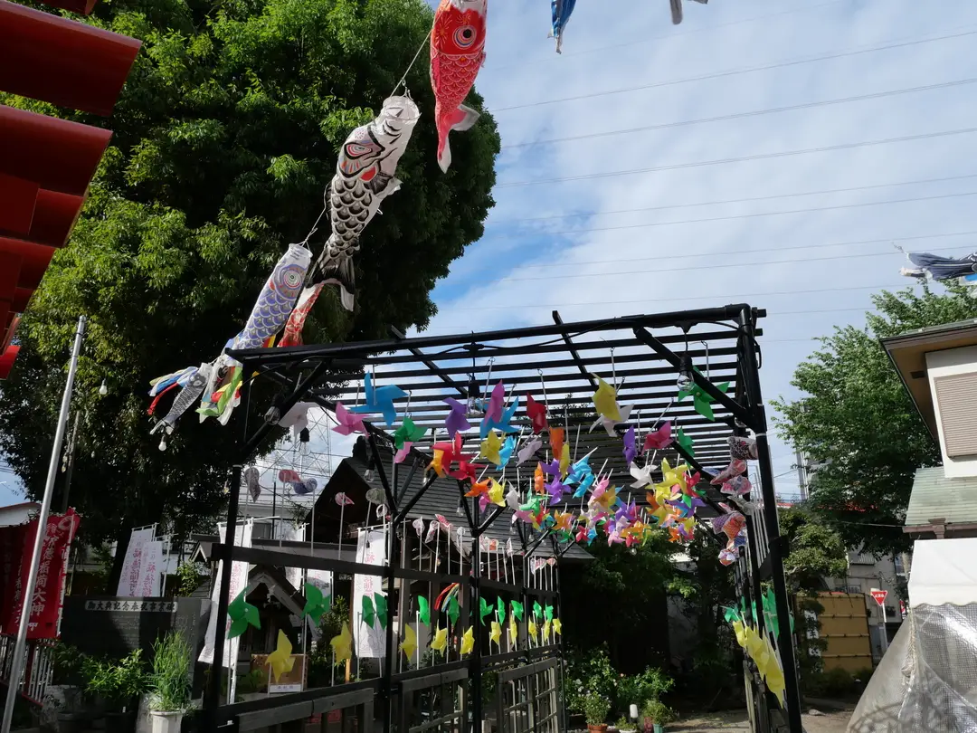写真No.9