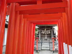 写真No.4