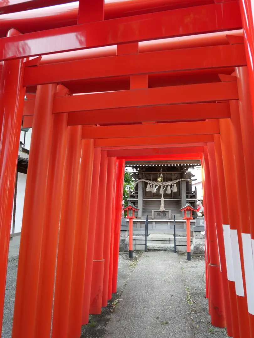 写真No.4