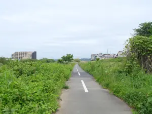 写真No.5
