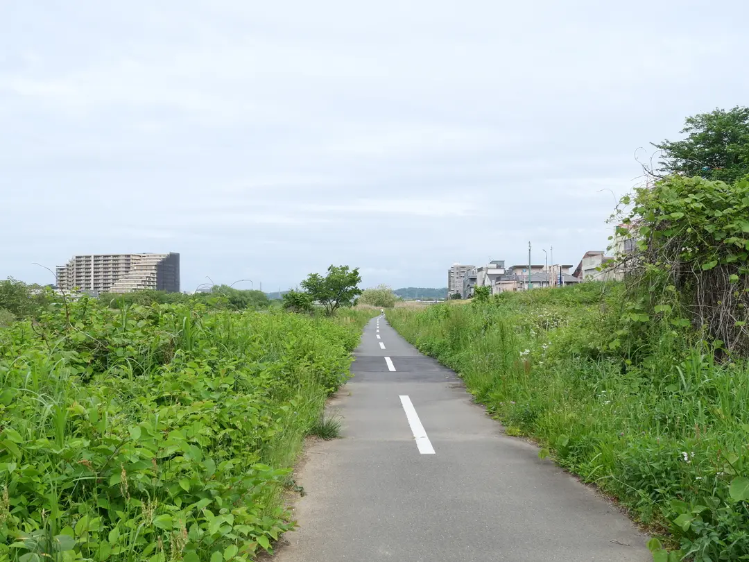 写真No.5