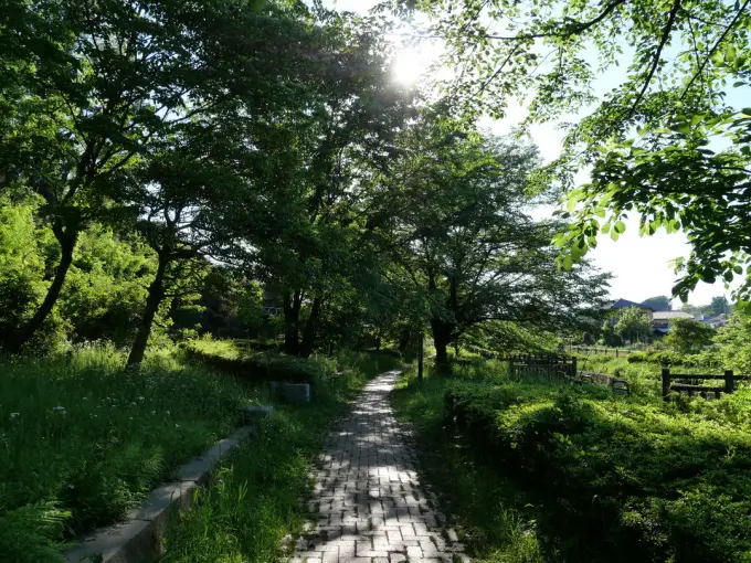 写真No.2