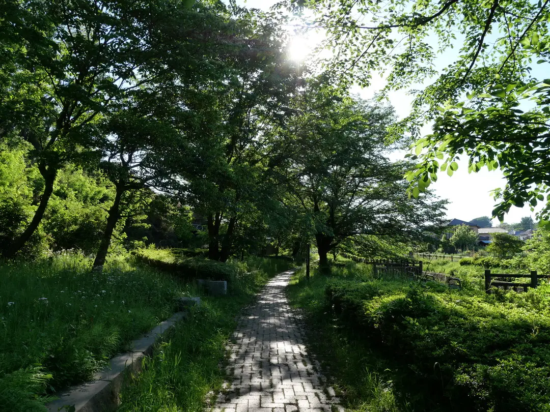 写真No.2