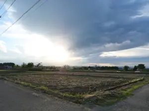 写真No.3