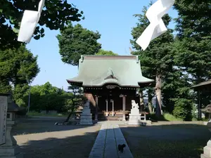 写真No.5