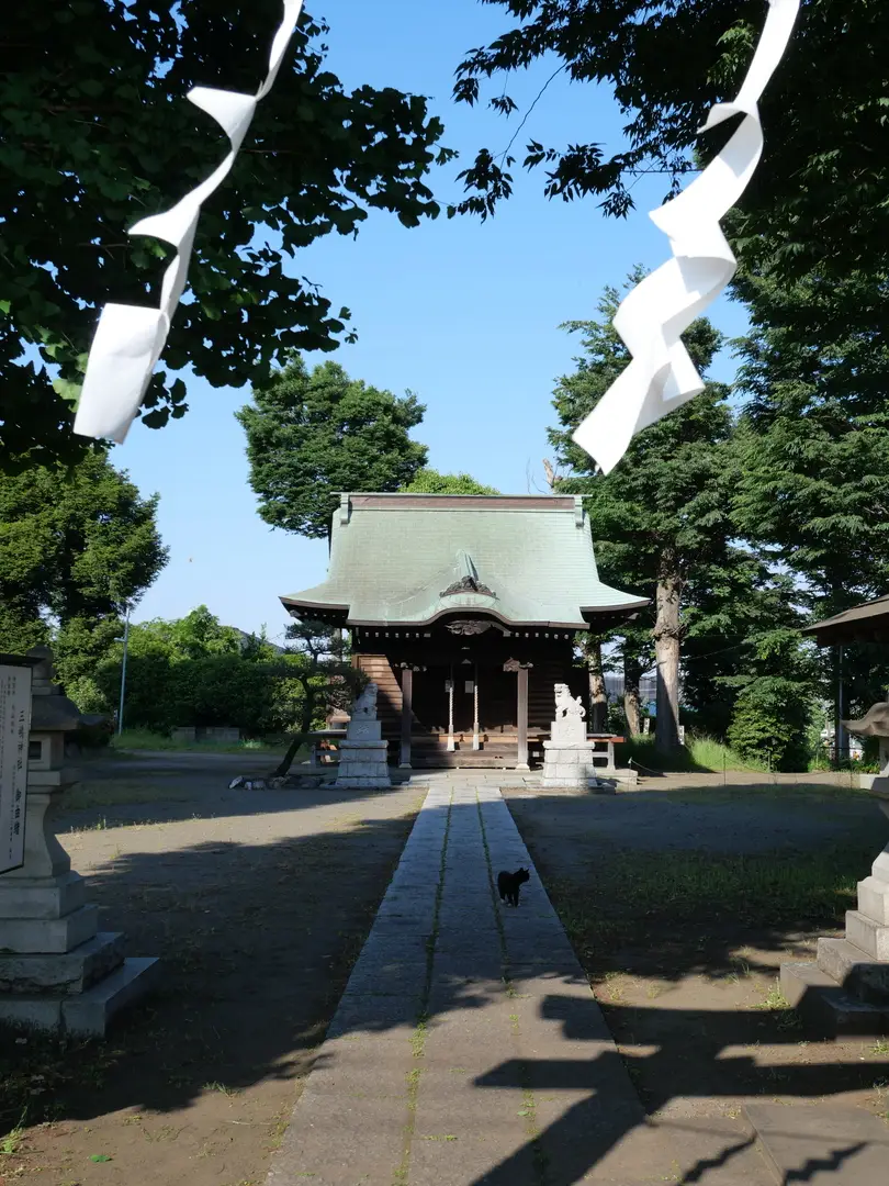 写真No.5
