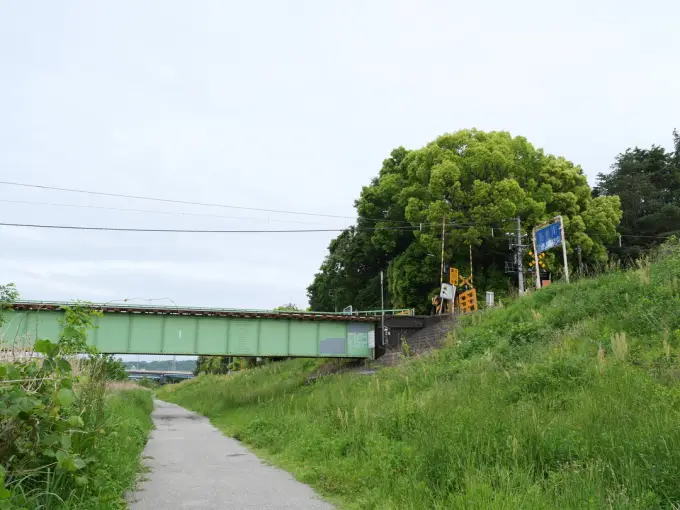 写真No.1