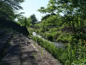 写真No.1