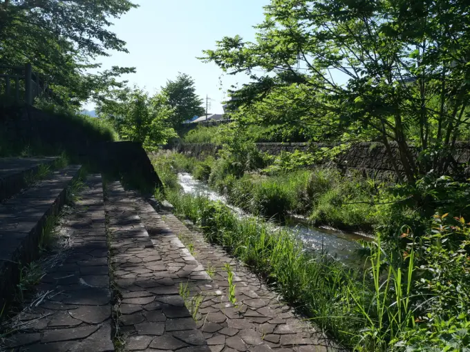 写真No.1
