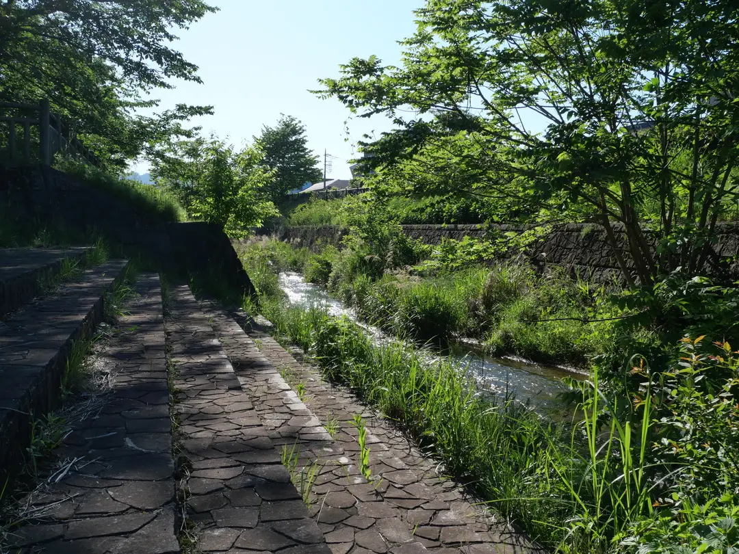 写真No.1